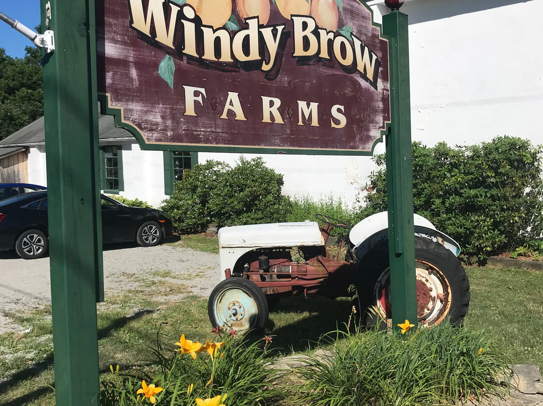 Windy Brow Farms景点图片