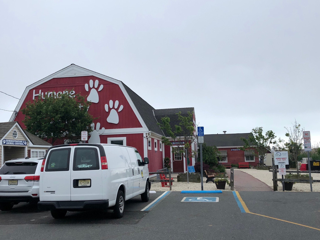 Humane Society of Ocean City景点图片