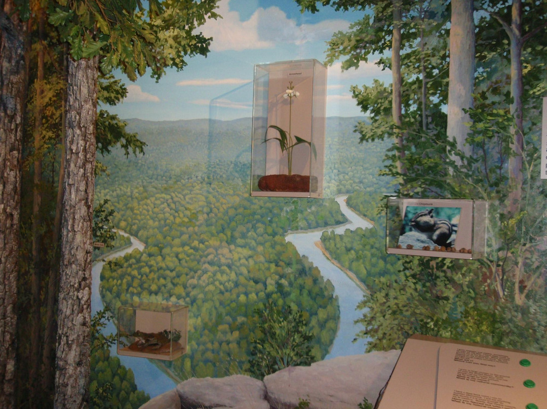 Springfield Conservation Nature Center-斯普林菲尔德必去景点