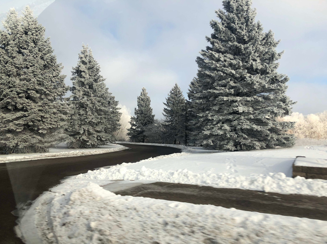 Apple Valley旅游景点-Alimagnet Dog Park