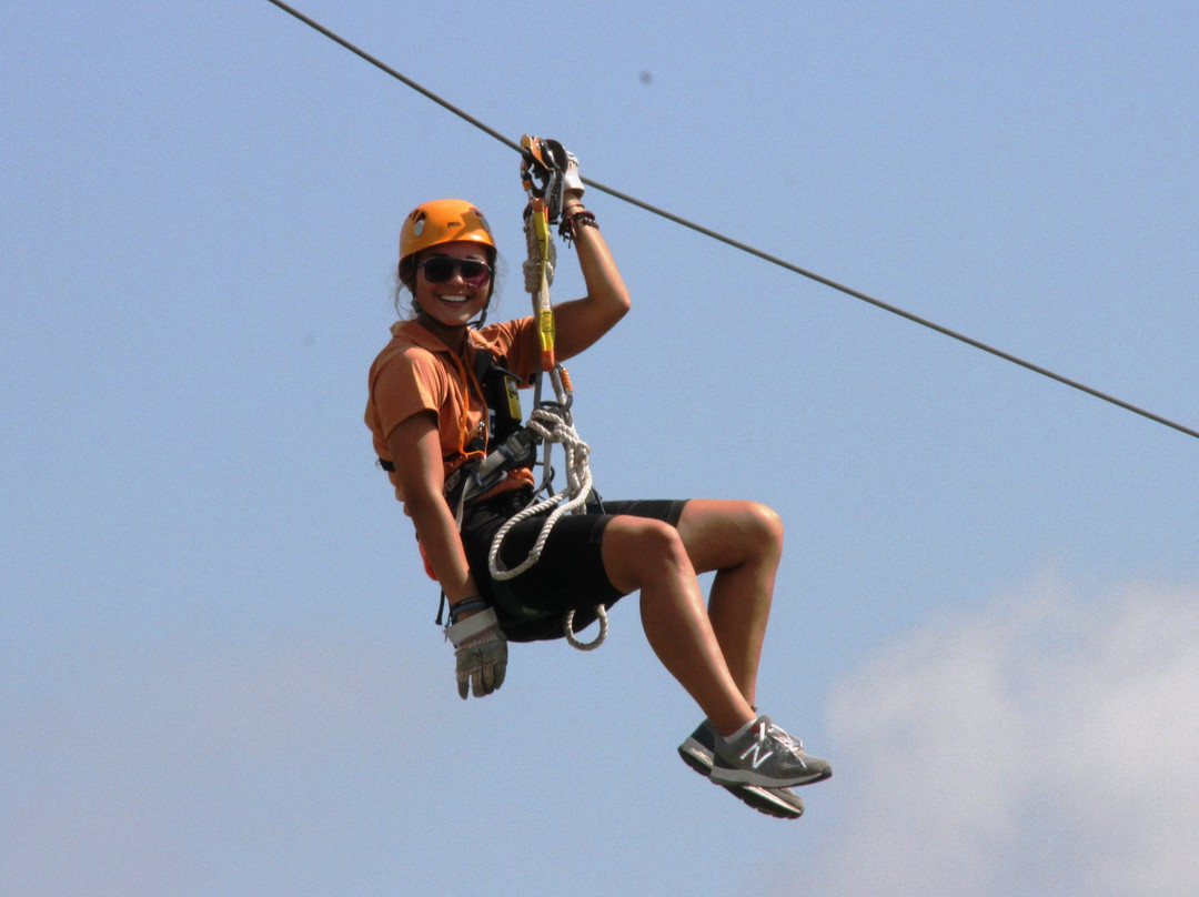 Screaming Raptor Zip Lines