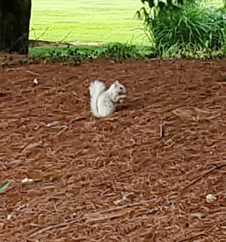 CrossWinds Golf Course-鲍灵格林必去景点