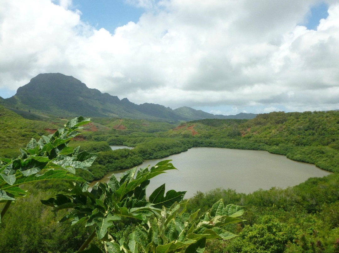 Experience Kauai Tours & Transportation-普林斯维尔必去景点