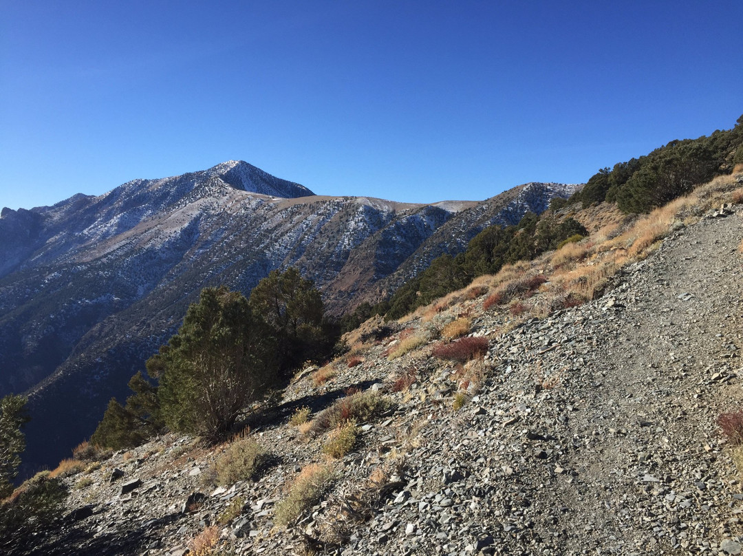 Telescope Peak trail景点图片