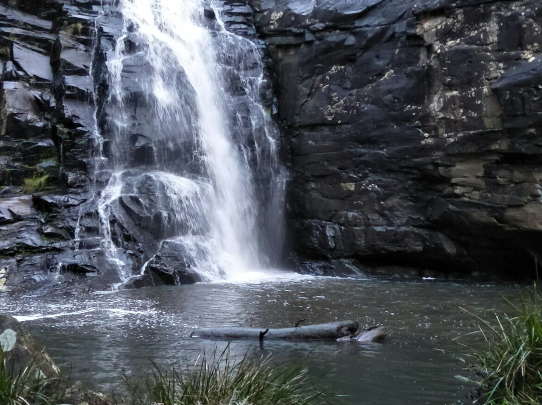 Sheoak Falls-洛恩必去景点