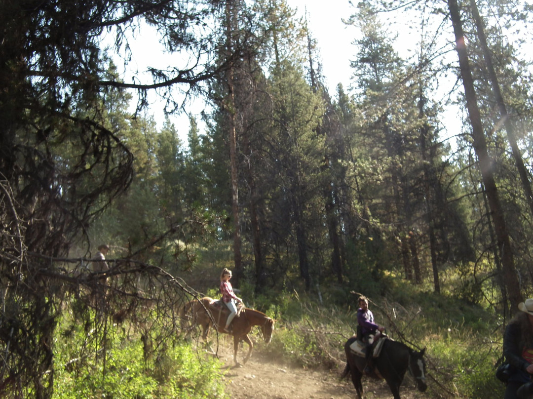 Swift Creek Outfitters & Teton Horseback Adventures景点图片