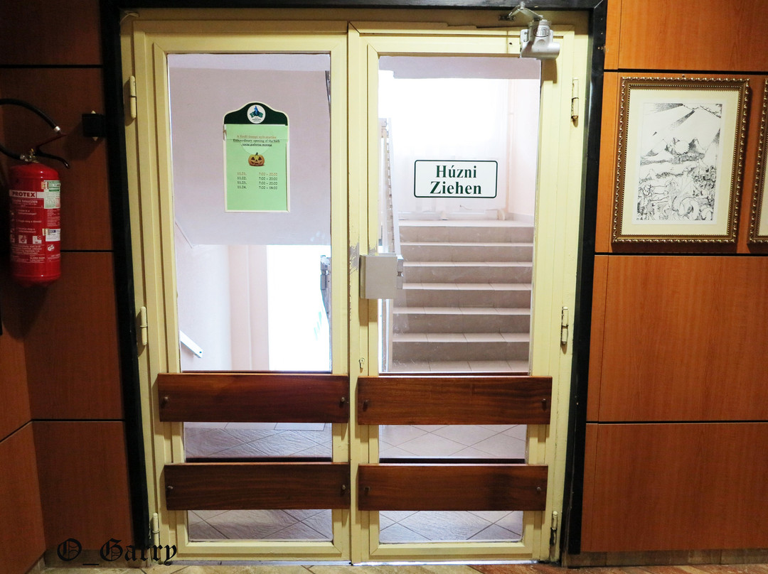 Hotel Barátság Hajdúszoboszló主图