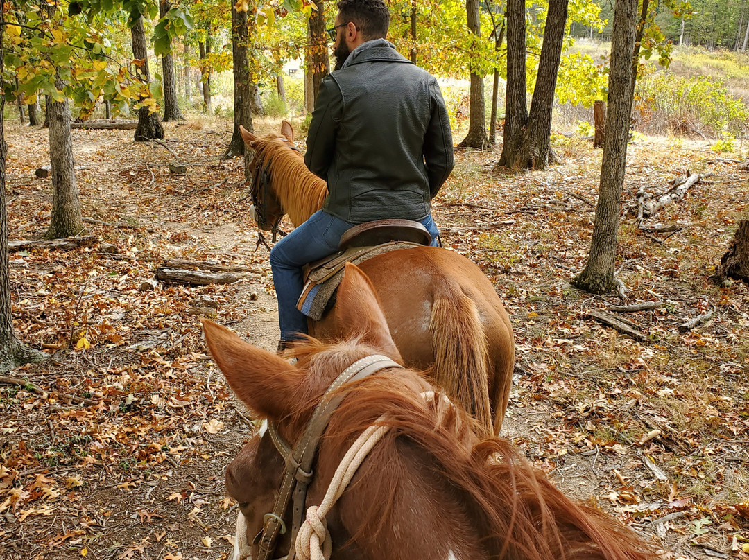 Double H Stables-弗兰特罗亚尔必去景点