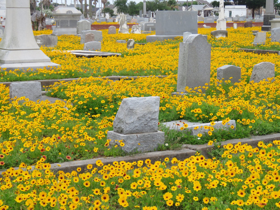 Old City Cemetery景点图片