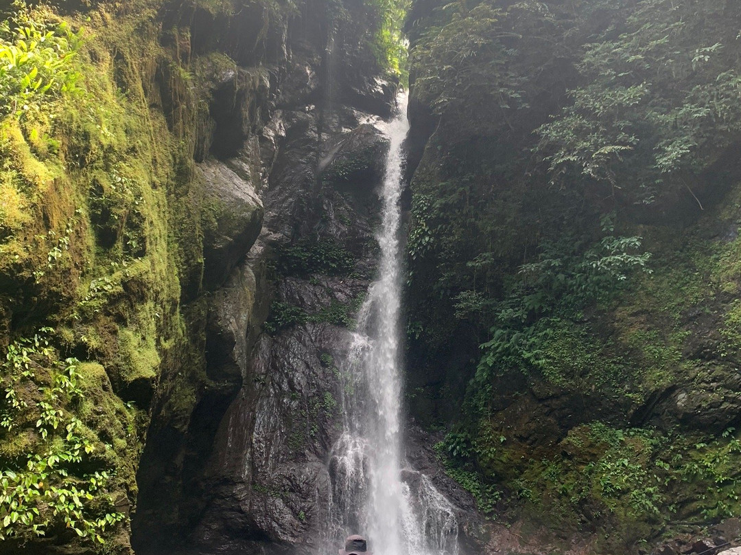 Ditumabo Mother Falls景点图片