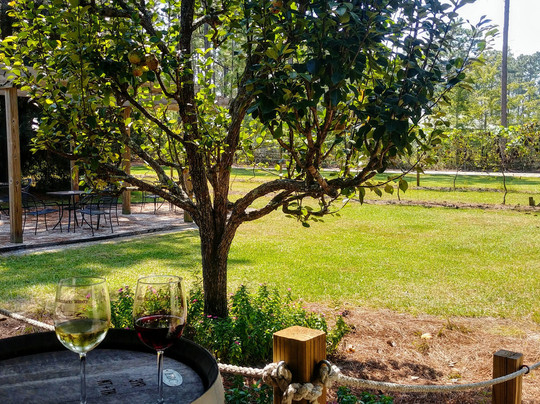 Butterducks Winery-Guyton必去景点