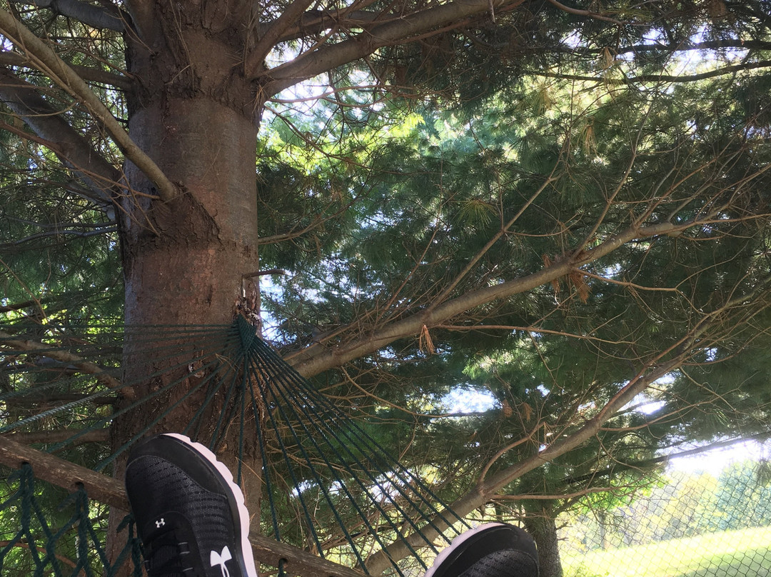 Oak Meadow Delight Bed & Breakfast主图