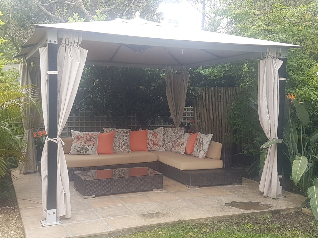 野生橄榄豪华宾馆主图