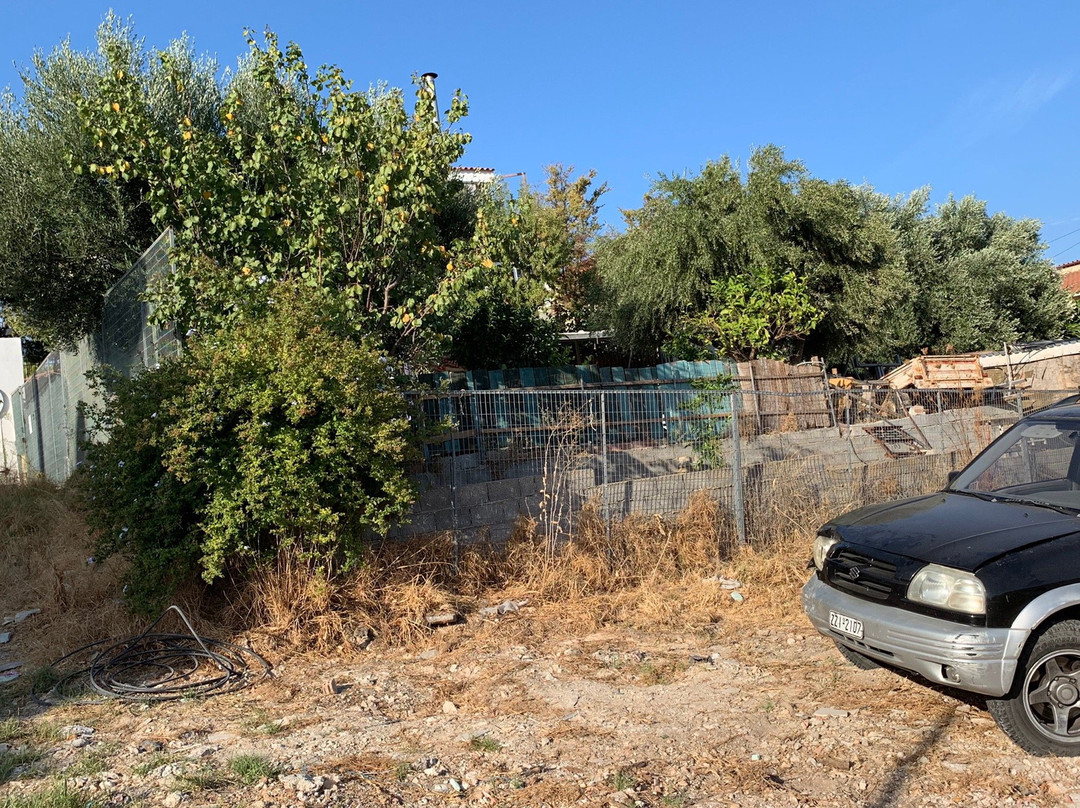 Artemis GreenHill主图