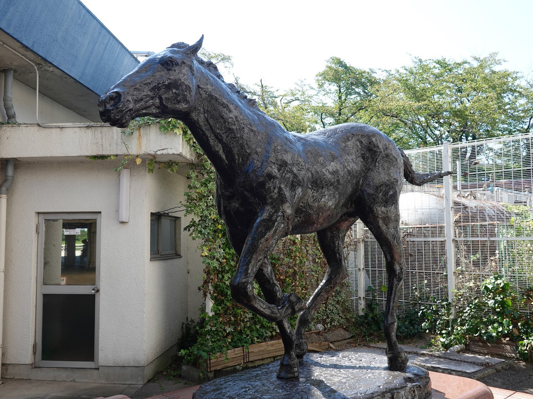 Oguri Cap Statue-笠松町必去景点