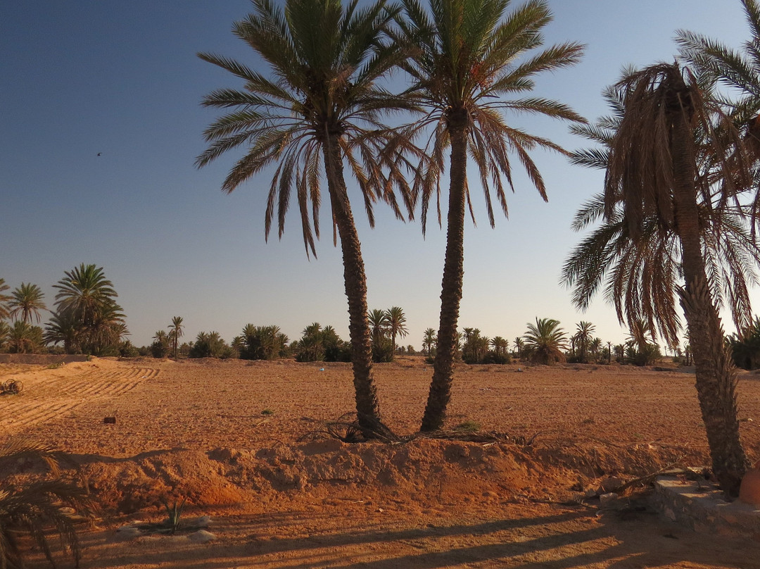 Dar Chick Yahia主图