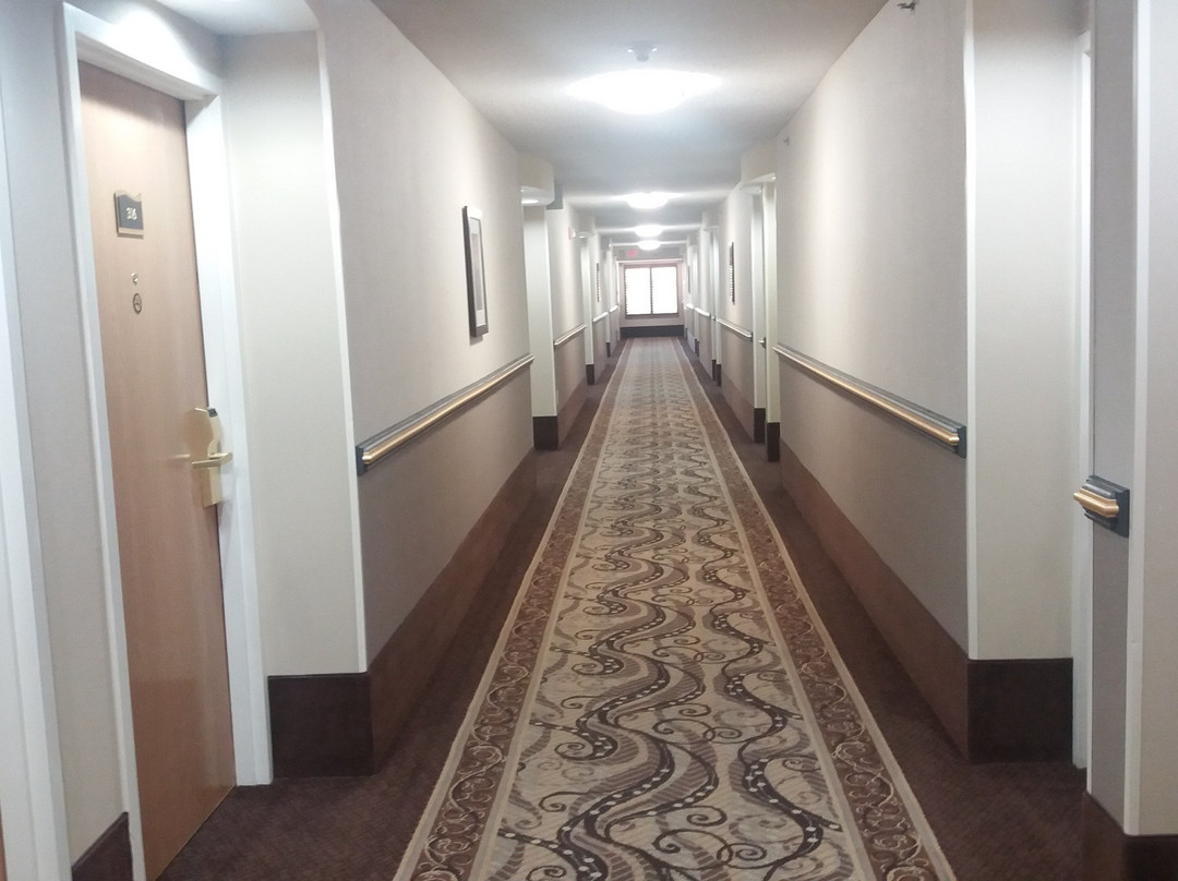 Best Western Plus Ambassador Suites Venice主图