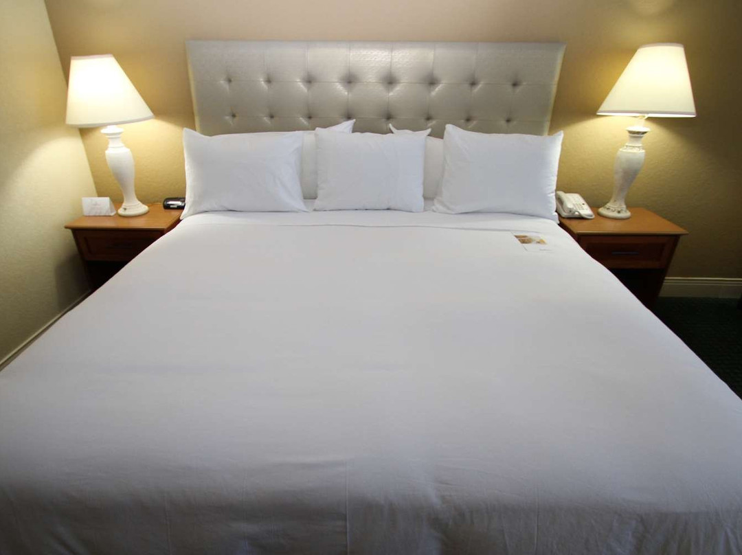 罗切斯特机场雷迪森酒店主图