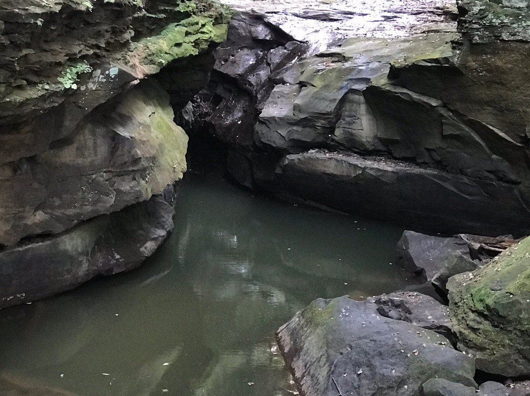 Grayson Lake-Olive Hill必去景点