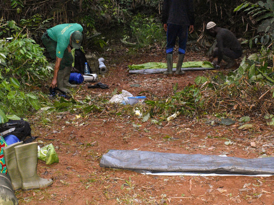 Ngoyla Faunal Reserve