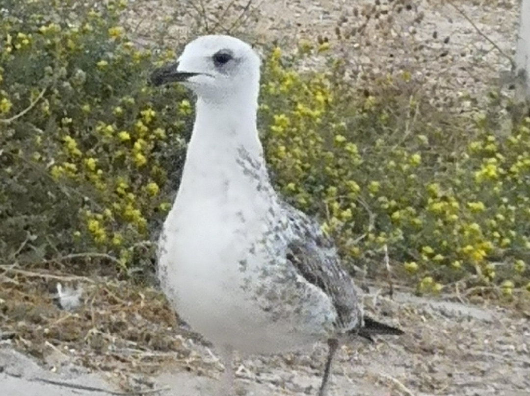诺那酒店 - 全包式主图