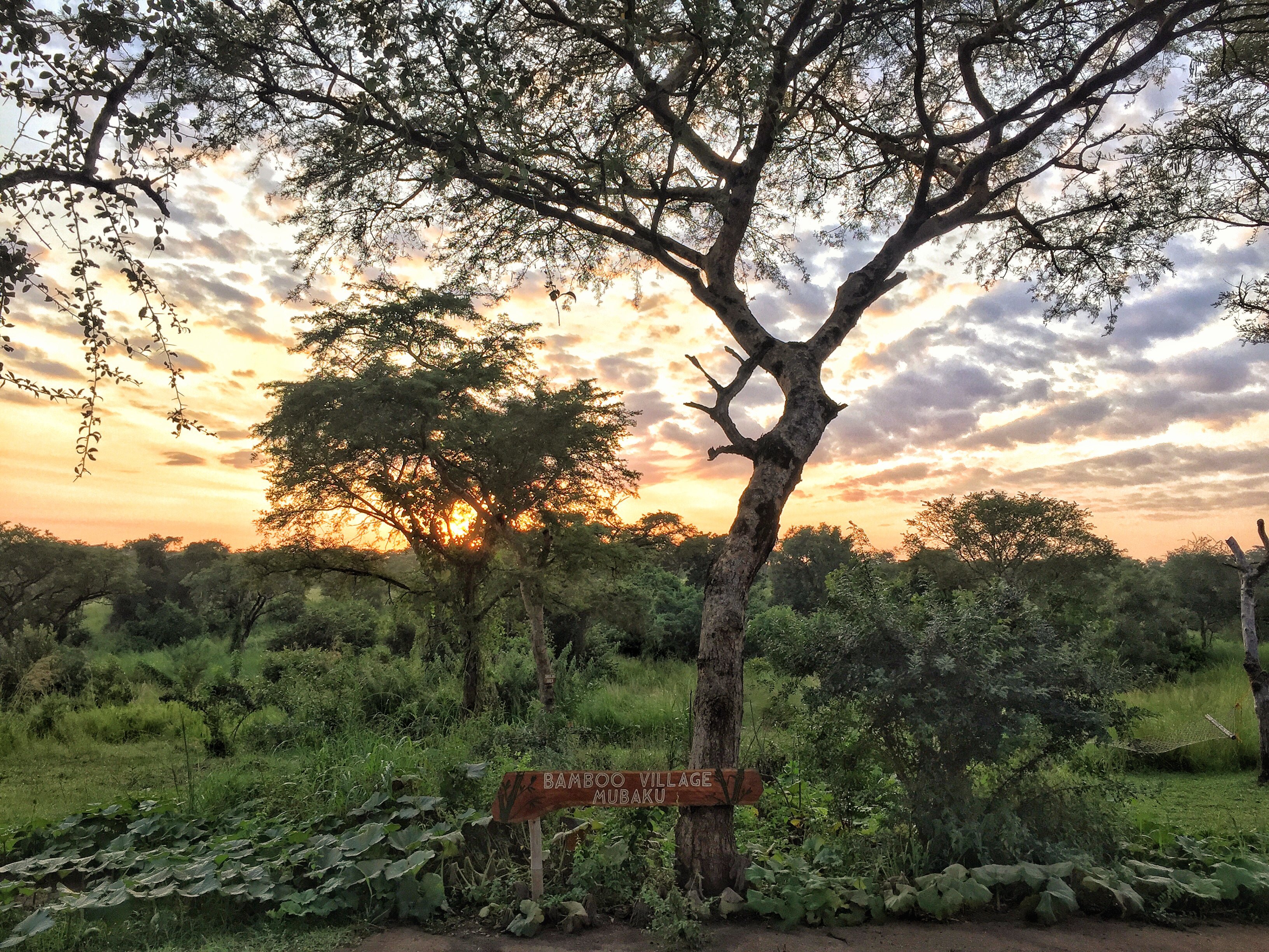 Murchison Falls Bamboo Village-官方