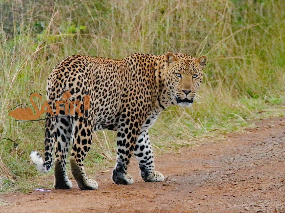 Luxing Warriors-内罗毕必去景点