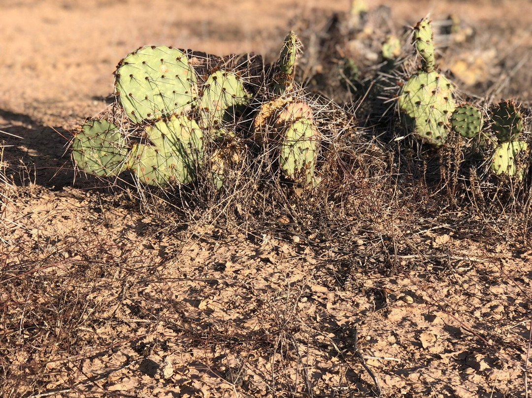 Copper Stay Inn主图