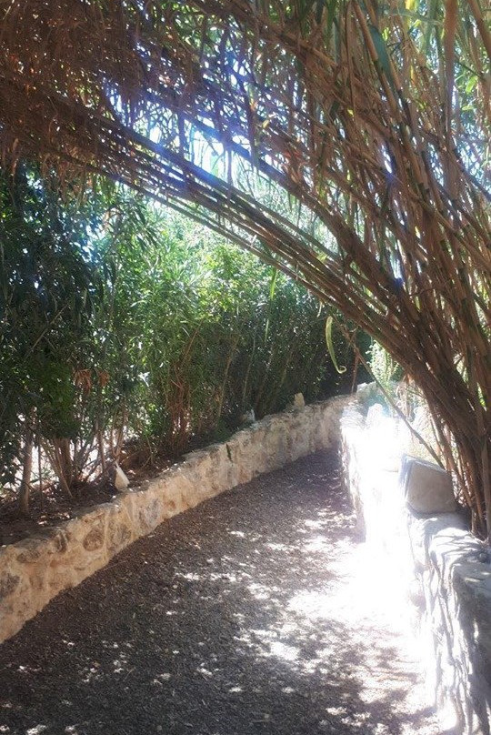 Medflora Museum Cyprus-Trachoni必去景点