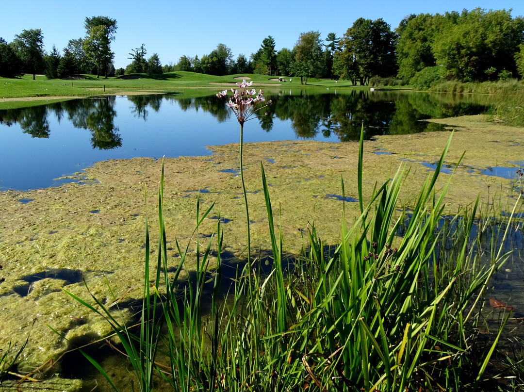 La Cité Golf Club景点图片