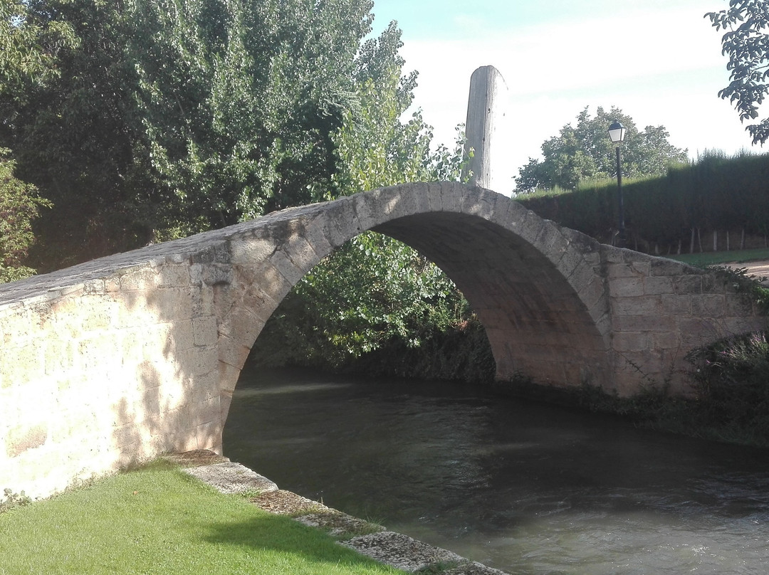 Puente romano en Calamocha景点图片