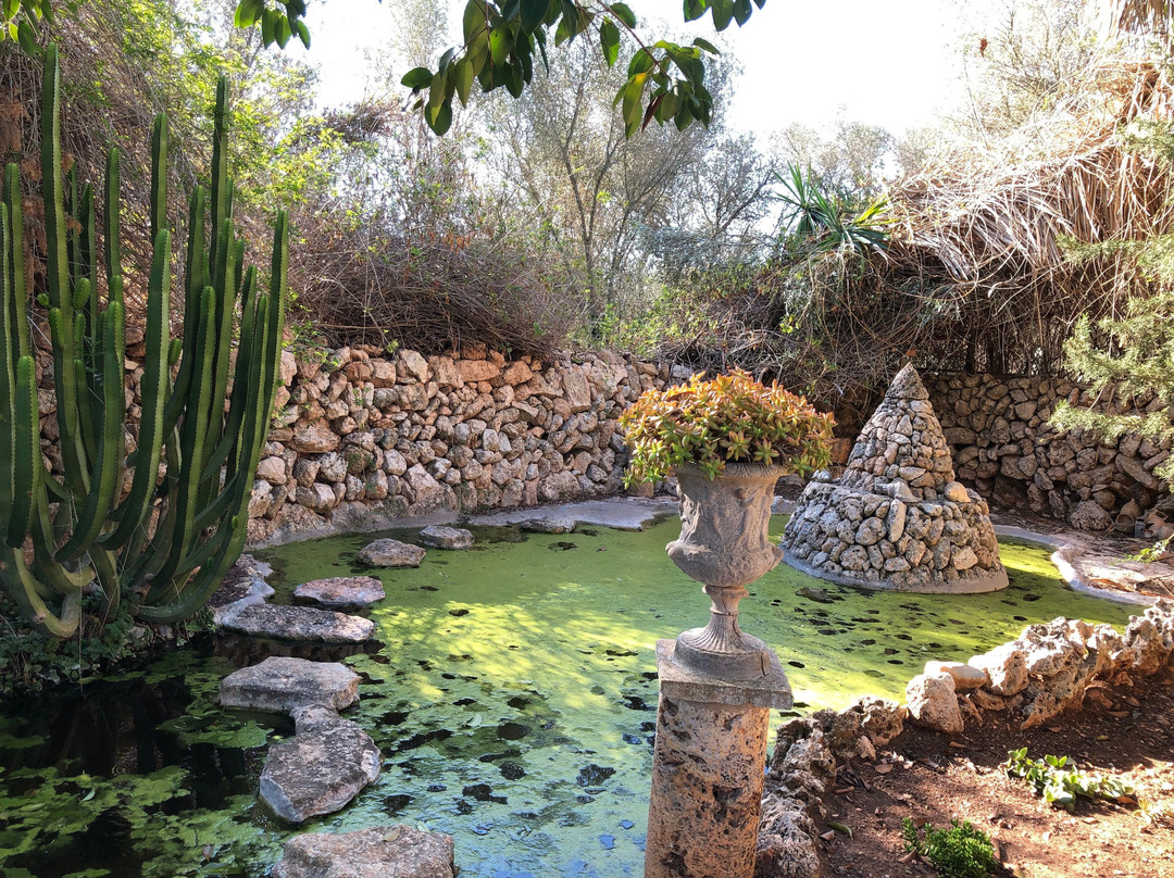 Agroturismo Finca Son Pieras主图