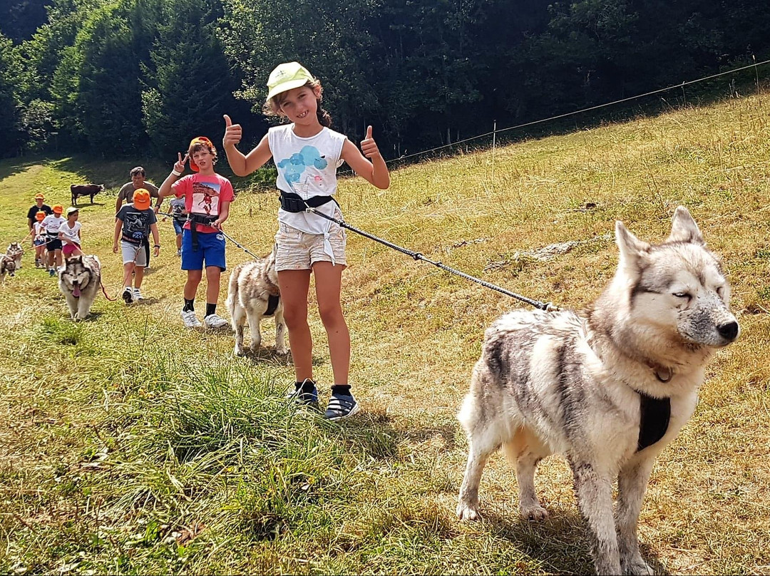 3D NORDIC, chiens de traîneau-Praz Sur Arly必去景点