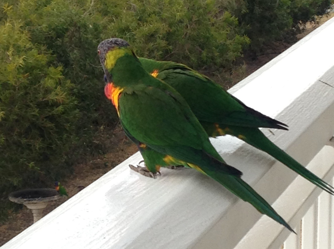 Kingfisher Motel主图