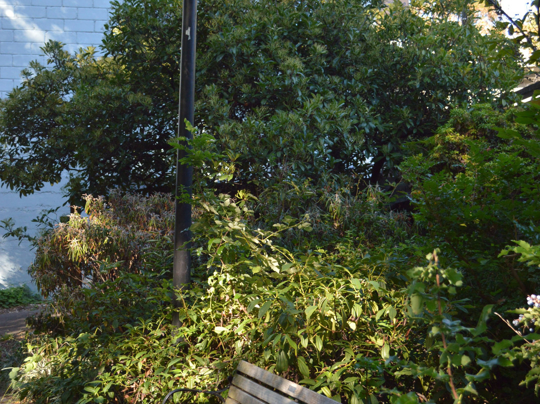 Bluebird Park-阿什兰必去景点