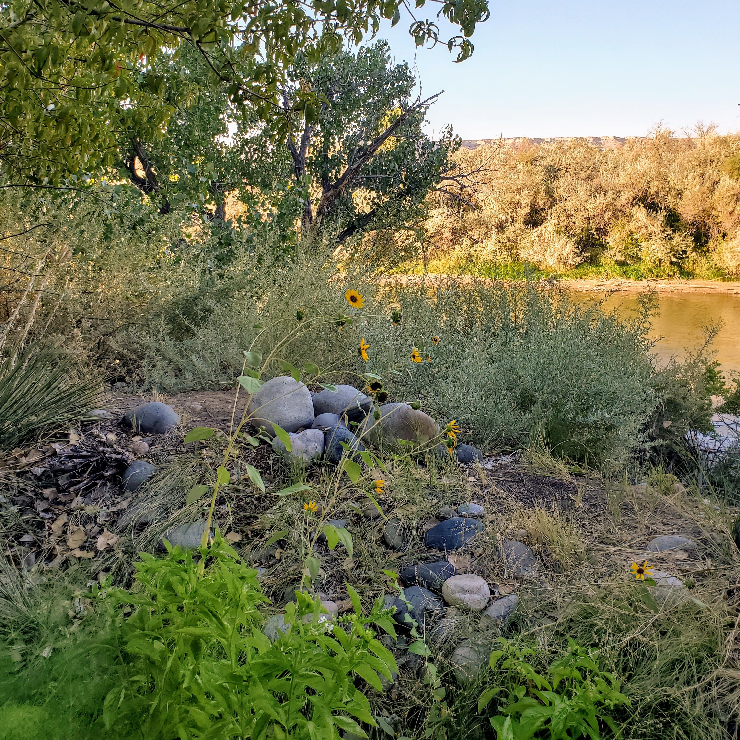 Silver River Adobe Inn-官方