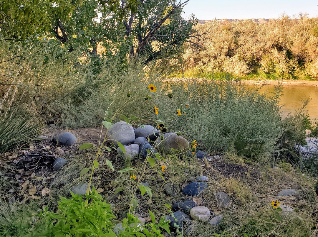 Silver River Adobe Inn主图