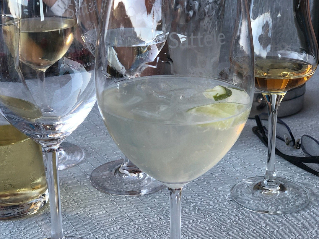 Hotel Sättele主图