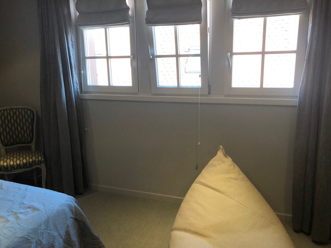 Hostellerie au Cygne主图