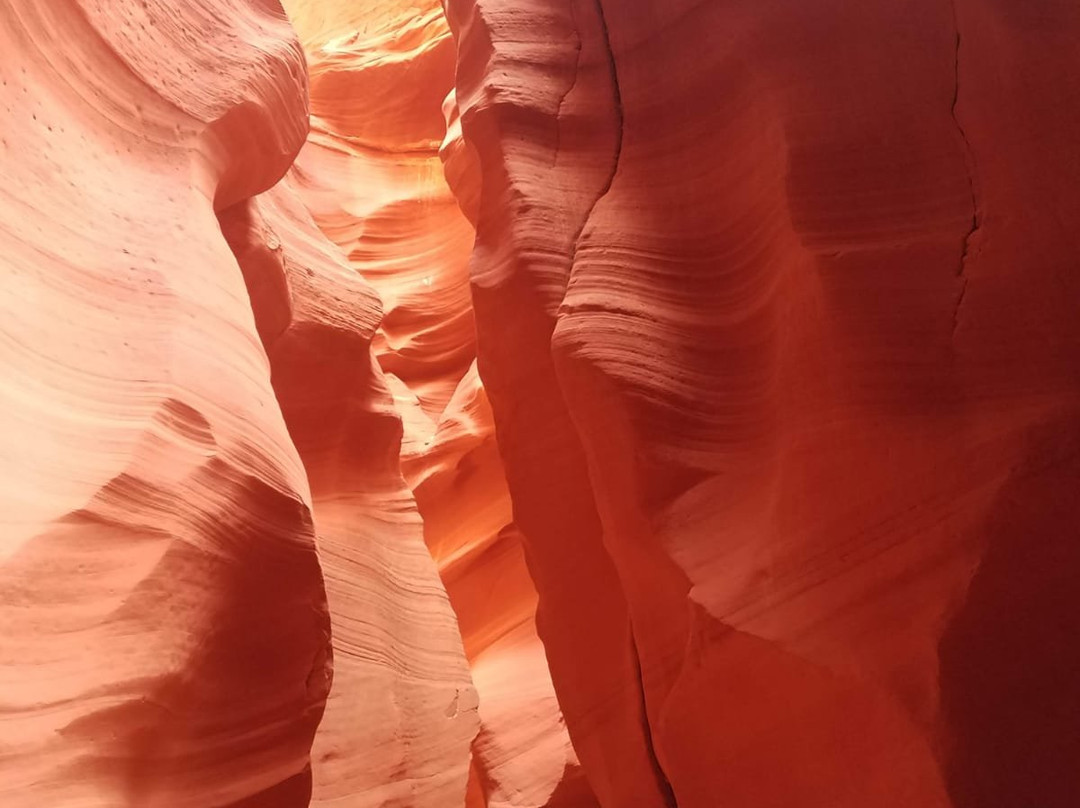 Top Canyon Tours-拉斯维加斯必去景点