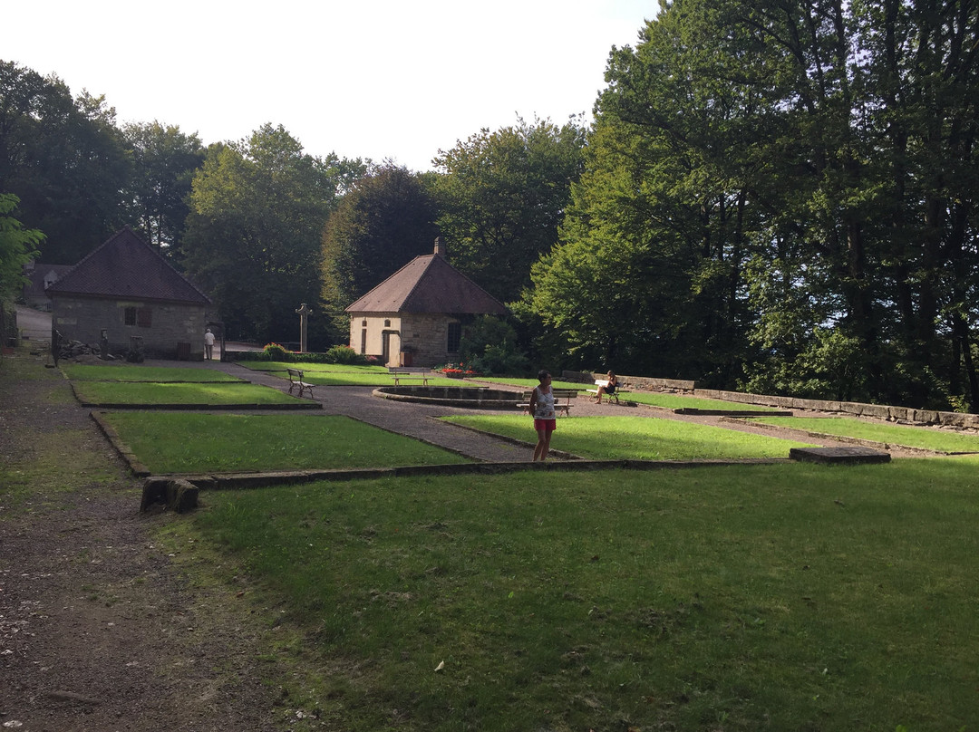 Parc Animalier de Fougerolles - Saint-Valbert-Fougerolles必去景点