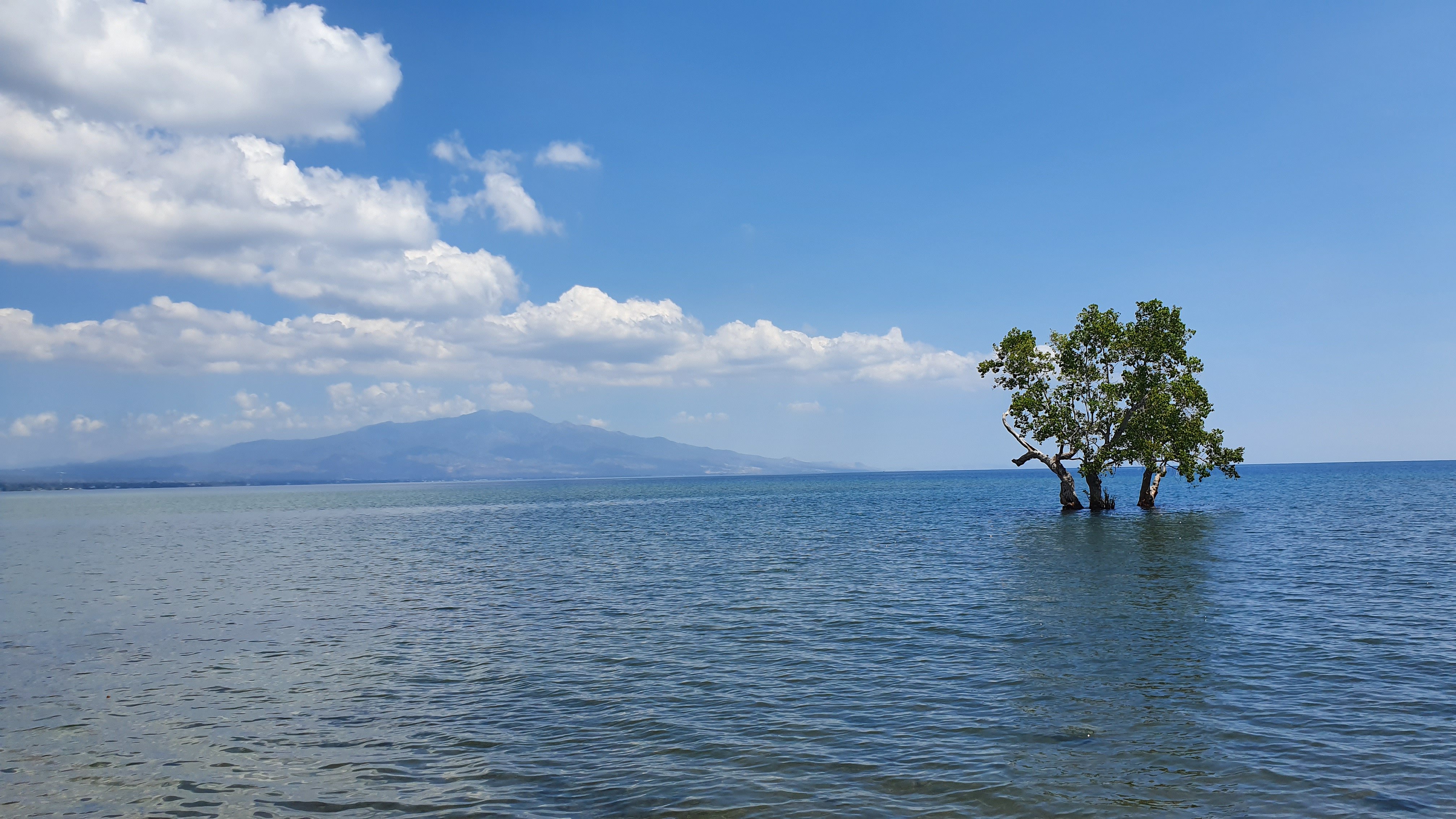 Budi Sun Resort-泳池