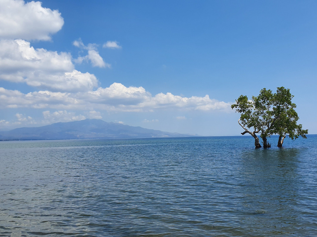 Budi Sun Resort主图