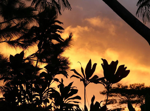 Maui's Best Hike-海库必去景点