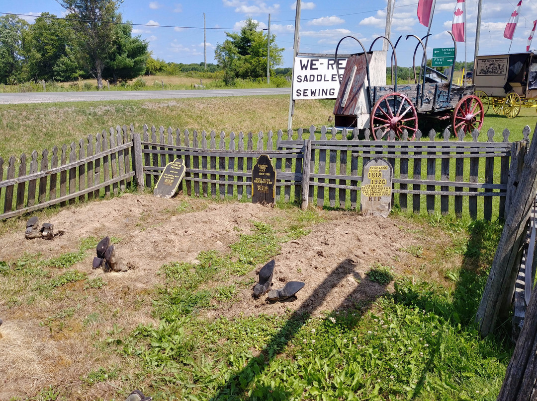 High Spring Trading Post and Saddlery-Havelock必去景点