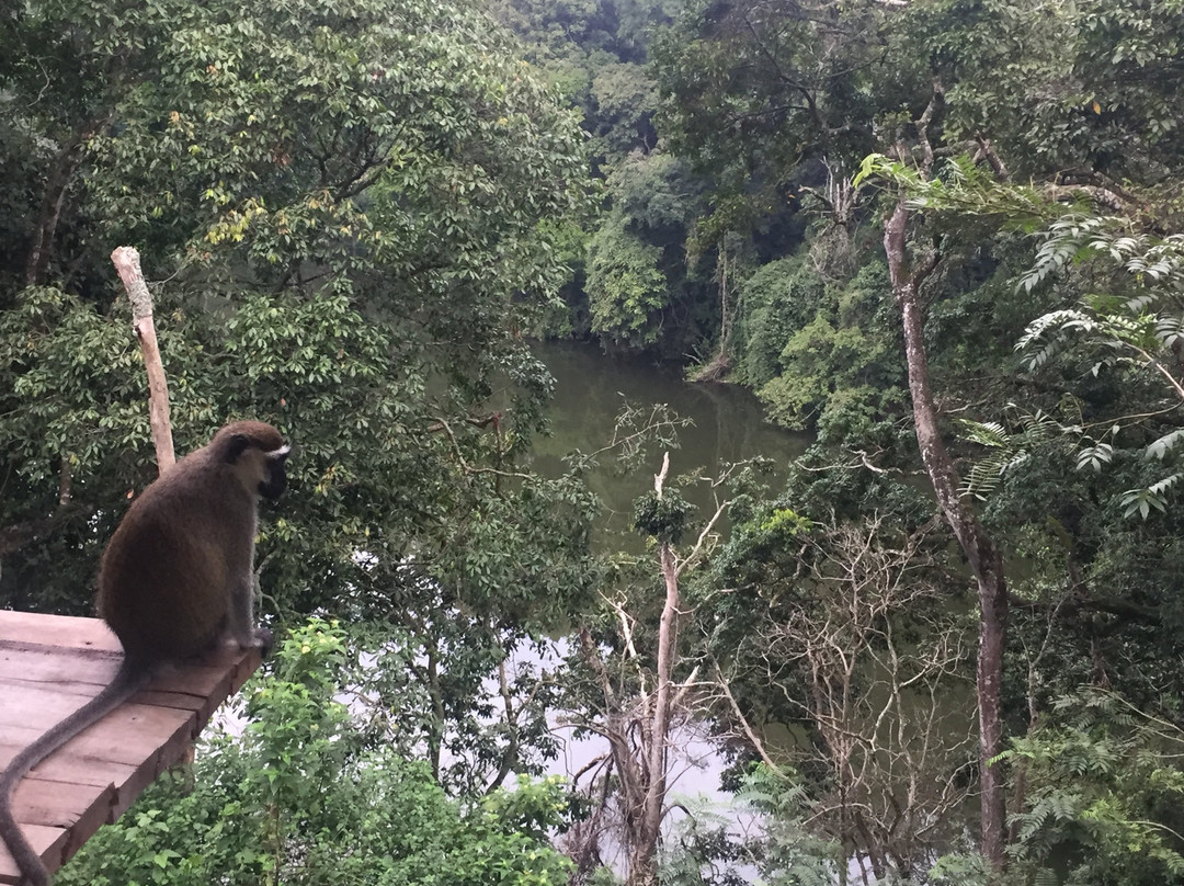 Lake Nkuruba Nature Reserve景点图片