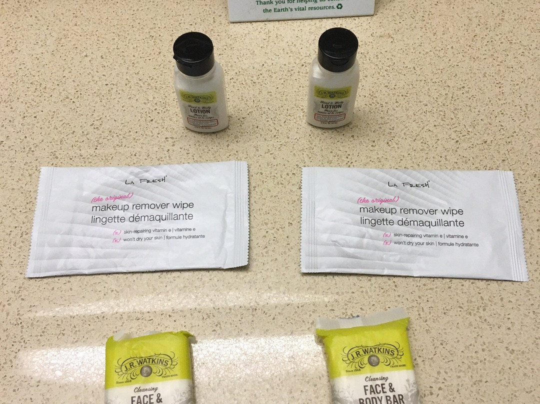 Staybridge Suites Ann Arbor - Univ of Michigan by IHG主图