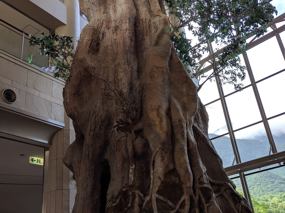 屋久岛岩崎酒店主图