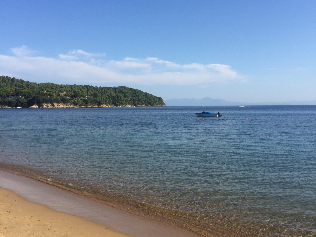 Strawberry Pension主图