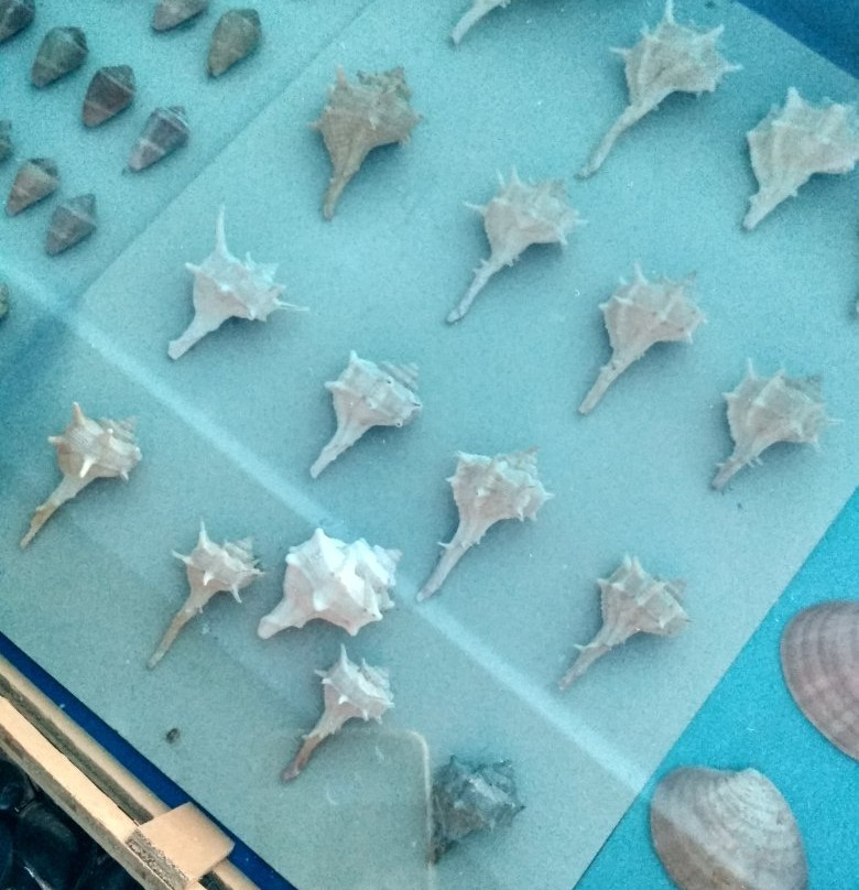 Kini Aquarium-Kini必去景点